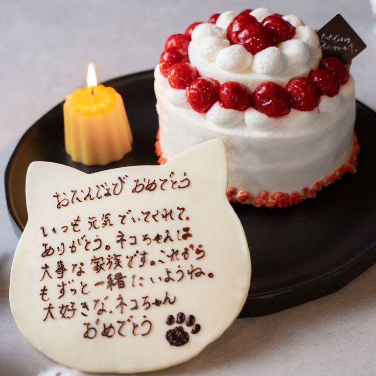 たったひとつの猫チョコプレートケーキ（100文字メッセージ） 4号 12cm